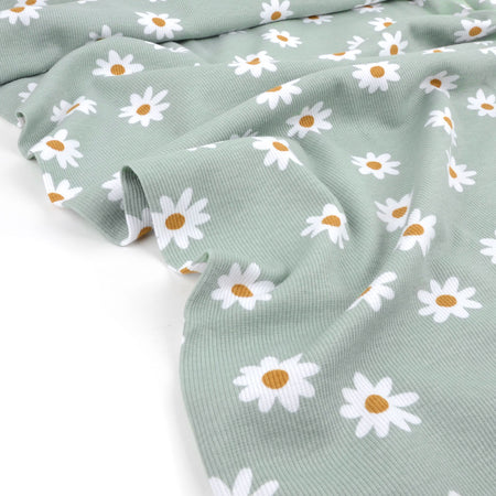 Fairtrade Bio Rib Jersey Daisy Sage