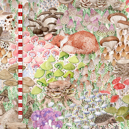 Fairtrade Biojersey Mushroom Garden