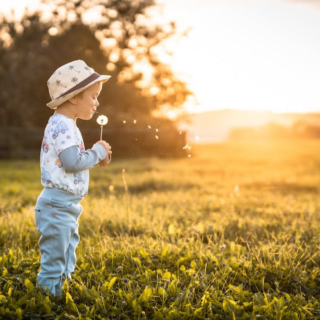 Fairtrade Biojersey Trucks (GOTS)