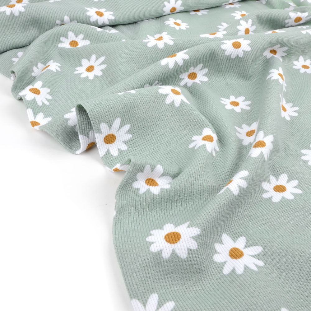 Fairtrade Bio Rib Jersey Daisy Sage