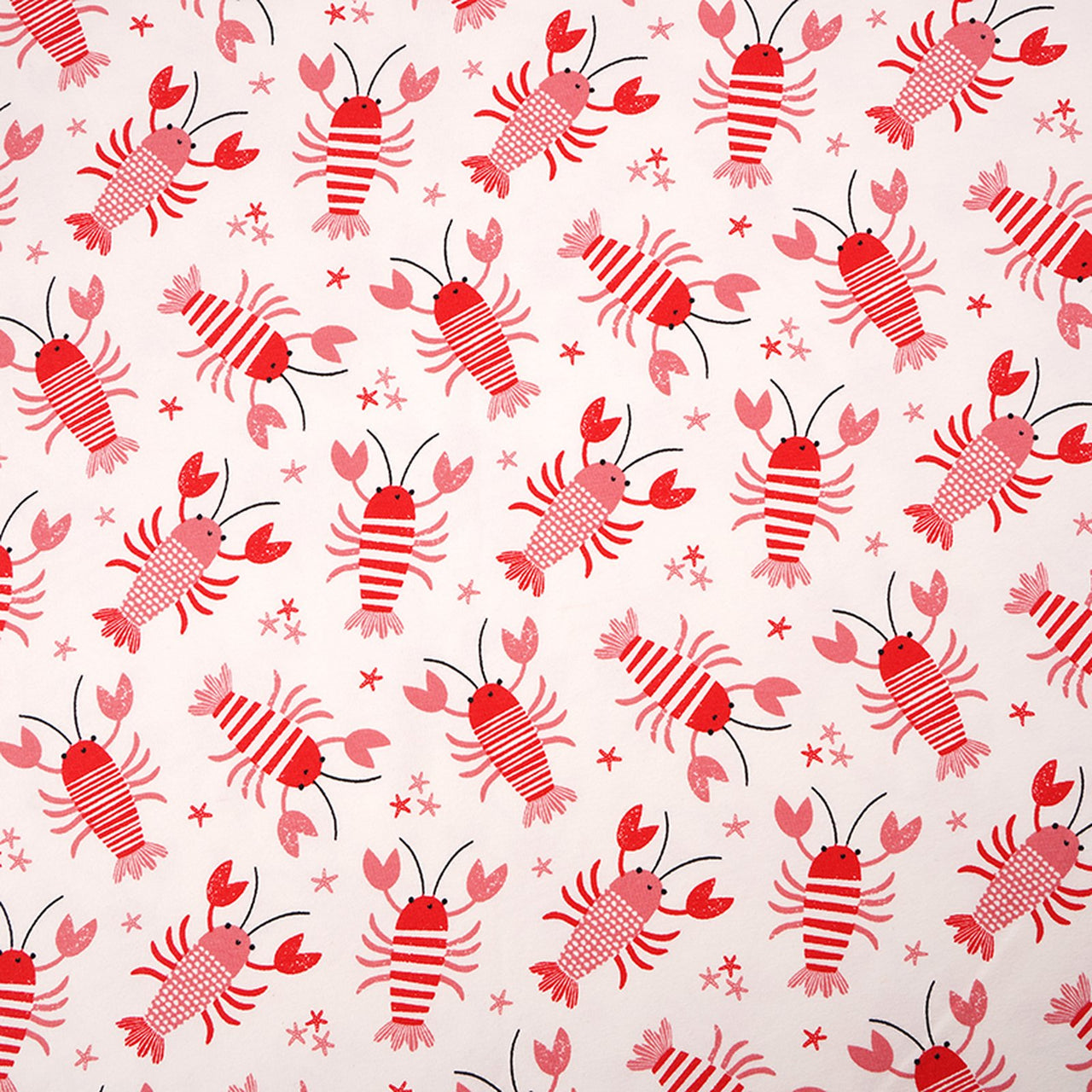 Fairtrade Biojersey Lobster Rot