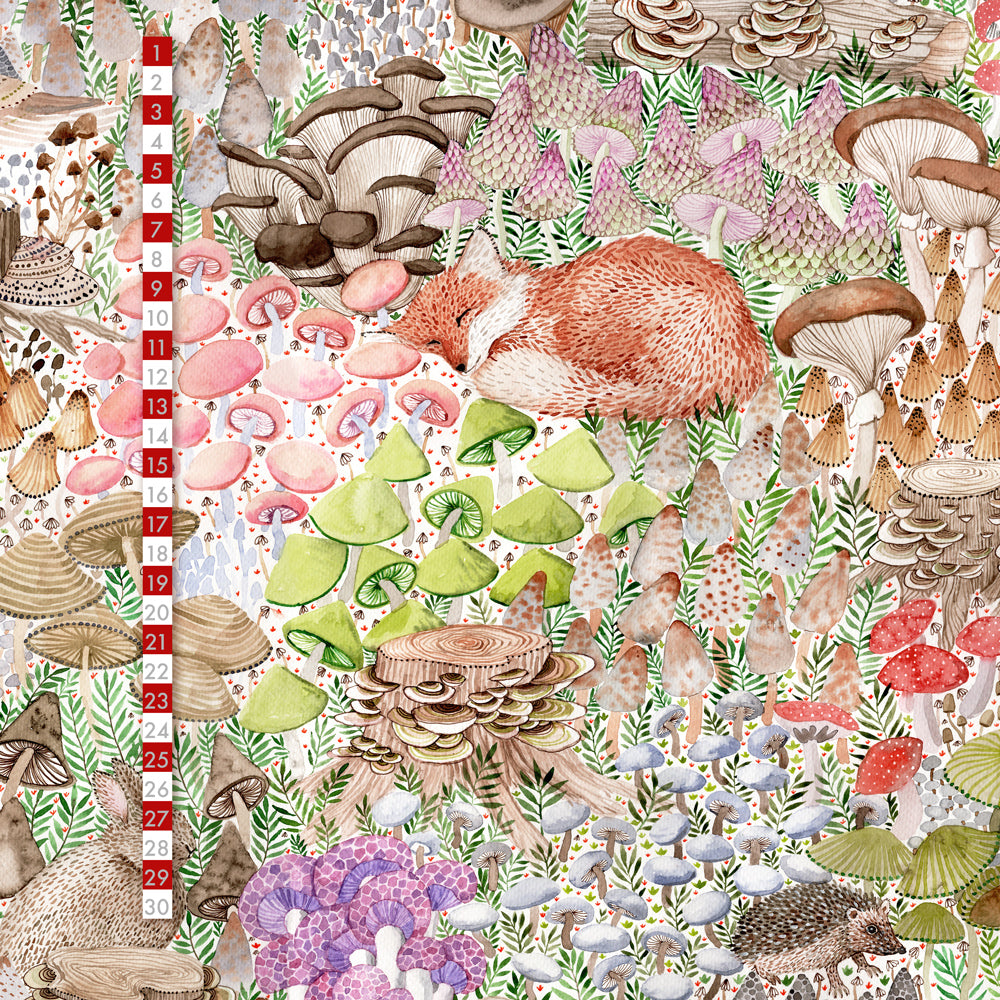 Fairtrade Biojersey Mushroom Garden